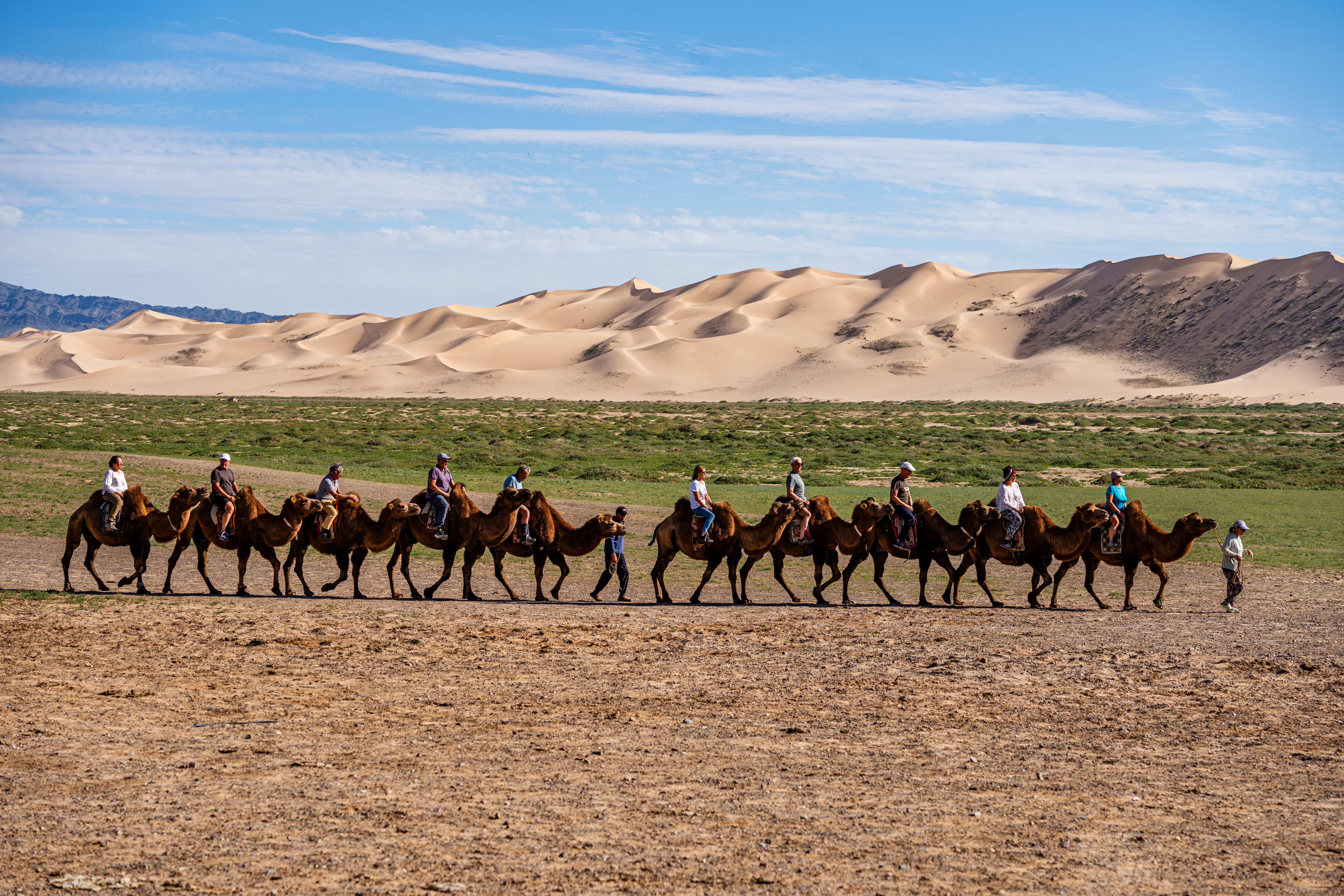 Most Popular Tours of 2025 