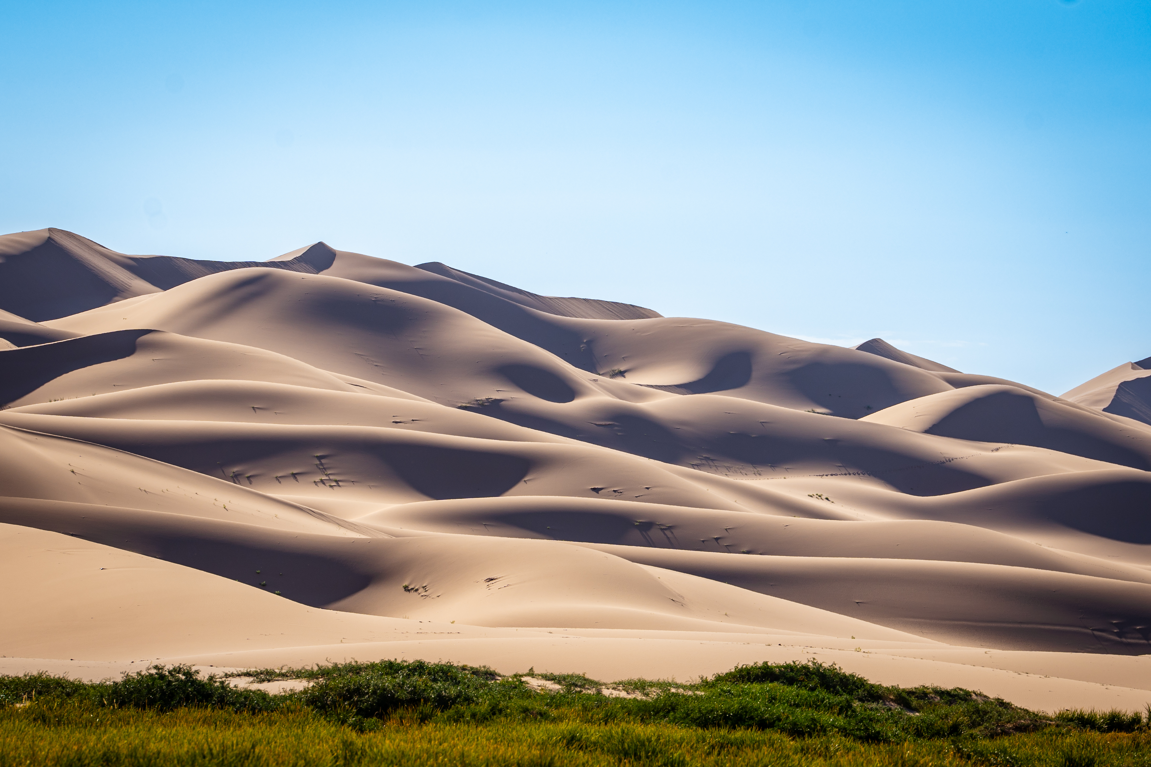 Most Popular Tours of 2025  thumbnail 6