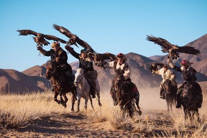 Golden Eagle 2027 Festival