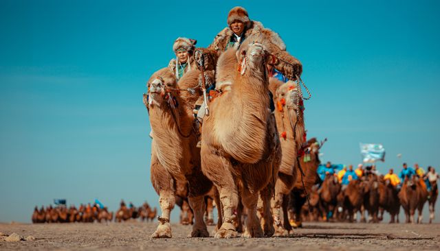 WINTER CAMEL FESTIVAL