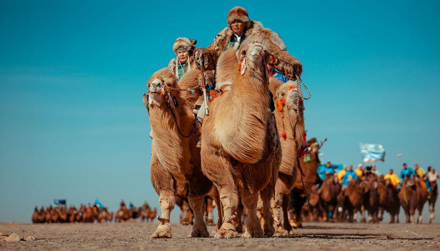 WINTER CAMEL FESTIVAL - Photo 1