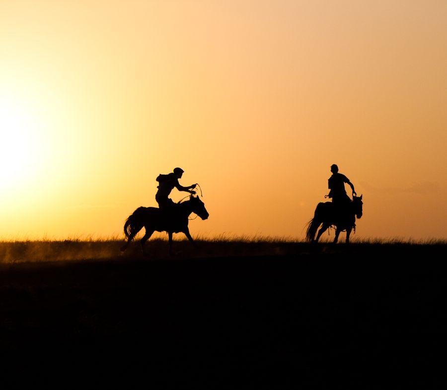 Nomadic Show and Khustai National Park overnight tour  - Photo 1