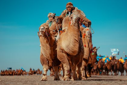 WINTER CAMEL FESTIVAL