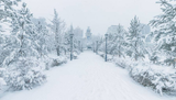 The Ultimate Luxury Winter Escape thumbnail 2